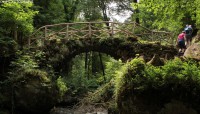 /album/fotogalerij-landschappen/brug-jpg/